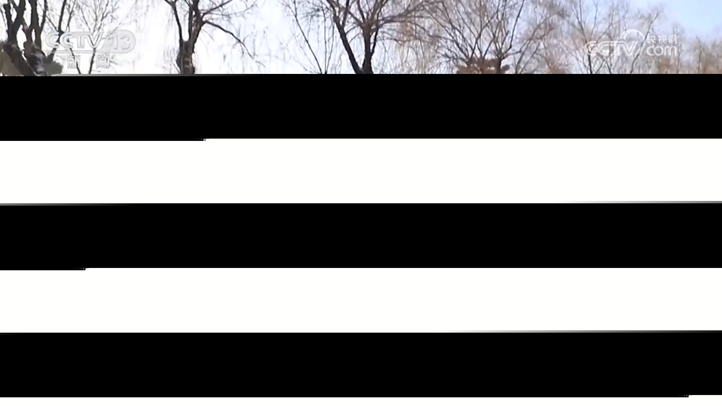 各地推出新举措持续激发冰雪经济活力