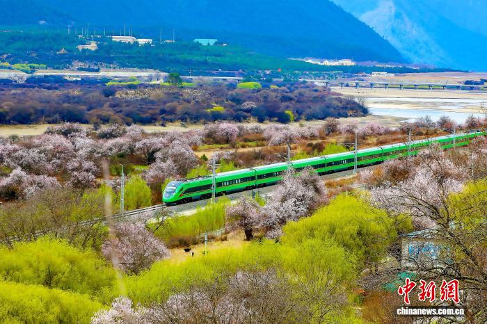 西藏拉林铁路开通运营以来运送旅客575万人次