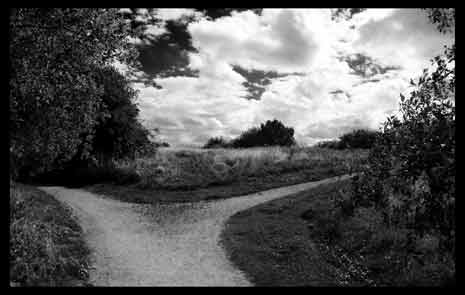 Fork in the road