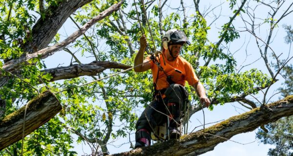UniSA materials scientist Professor Jun Ma has helped to create lightweight breathable textiles that reflect 96% of the sun’s rays in outdoor conditions. Image: David/stock.adobe.com