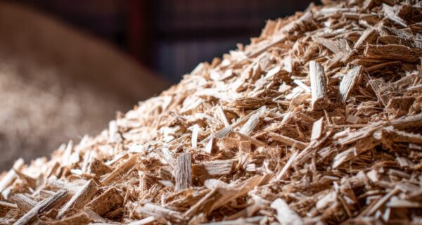 The Fibre to Fuels (F2F) project – recently approved for funding by the AFWI Centre for Sustainable Futures, hosted at the University of the Sunshine Coast, will validate the technical, commercial and emissions-reduction potential of producing methanol from key forestry residues via entrained-flow gasification. Image: Darya/Stock.adobe.com