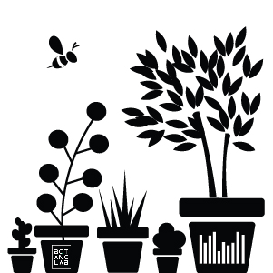 За растенията с любов