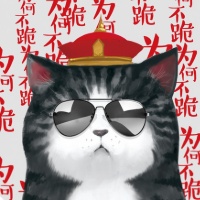 作者头像