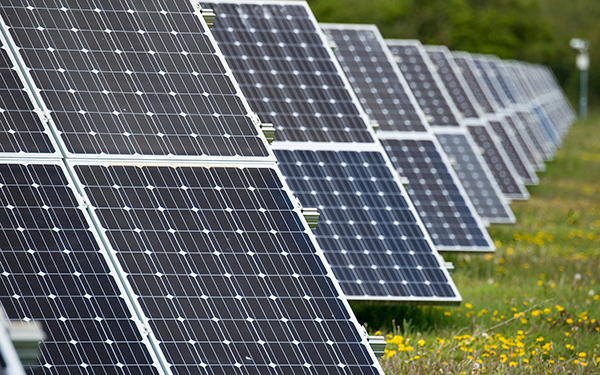 Rows of solar panels at a Lightsource bp solar project, installed across green grass with yellow wildflowers blooming in the foreground.