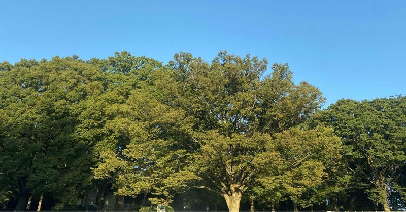 ChatGPTも追いつけない領域。不二と蝉時雨。