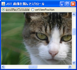 Swing/HandScroll screenshot