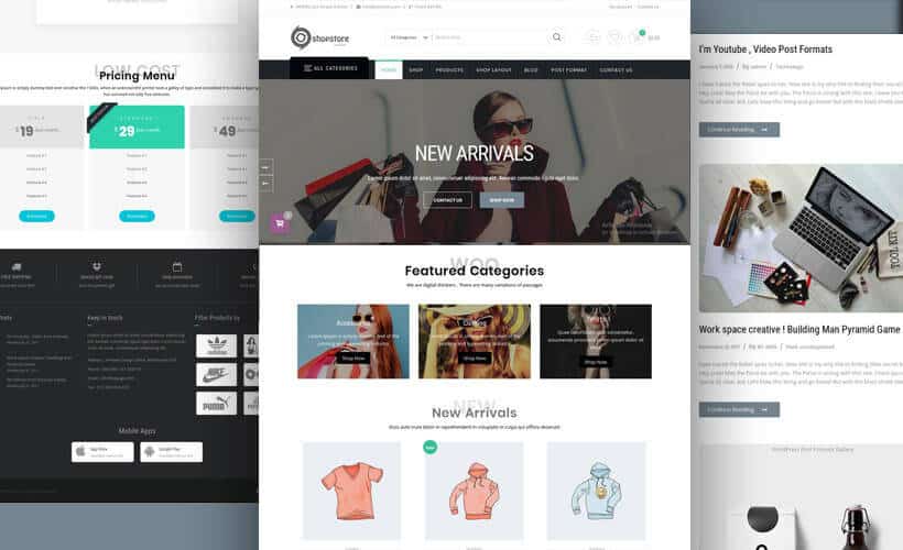 ShopStore(PRO): The Cutting-edge WooCommerce WordPress Theme