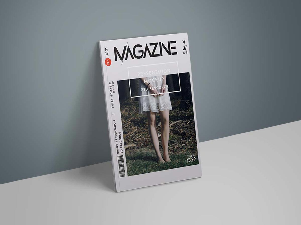 Portfolio Project 9 Magazine Portfolio Project