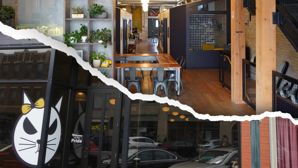 home-header-1024x576