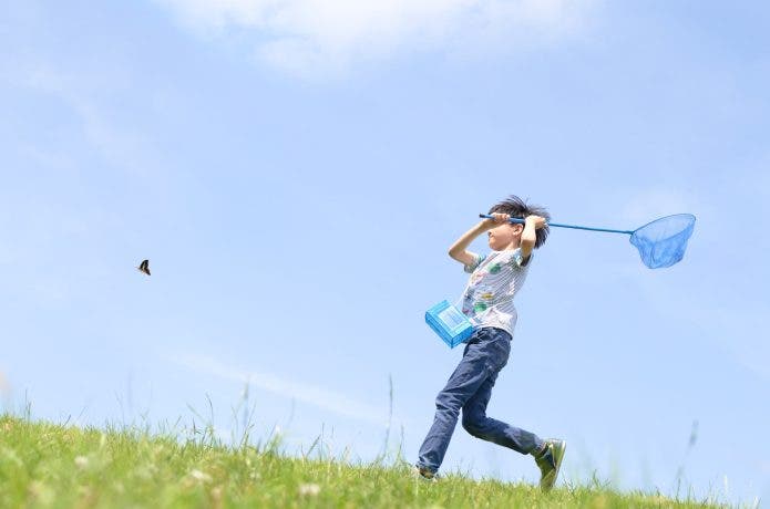 虫取りをする男の子