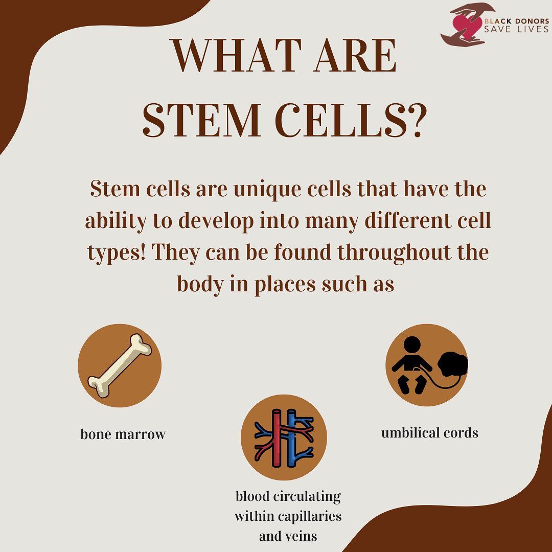 what_are_stem_cells