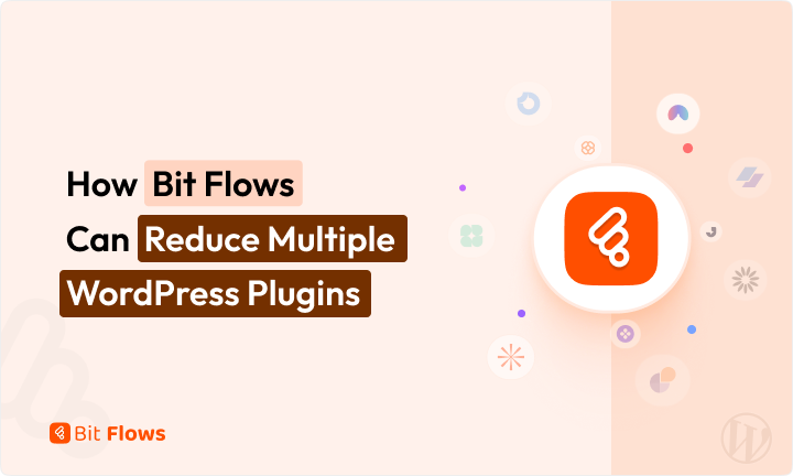 Wie Bit Flows mehrere WordPress-Plugins reduzieren kann