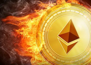Ethereum burn meme coins