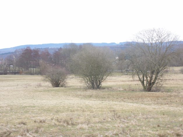 09 - 12tel Blick Mar 1