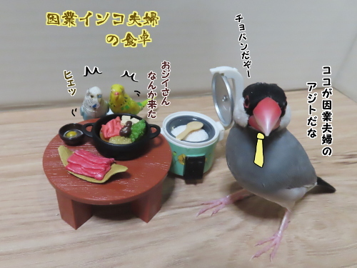 強盗チョパン12-因業夫婦