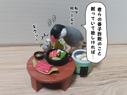 強盗チョパン14-黙って欲しければ