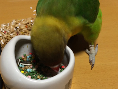 糸が巻いていたアンヨ