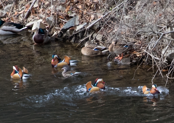 名称未設定 (8 - 20)