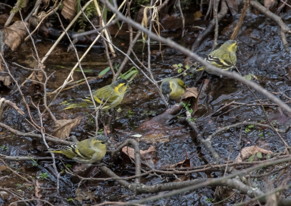 名称未設定-5280