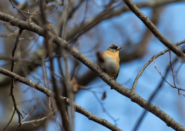 名称未設定-5401