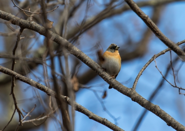 名称未設定-5404