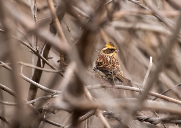 名称未設定-5386