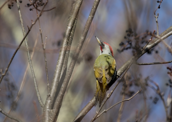 名称未設定-5591