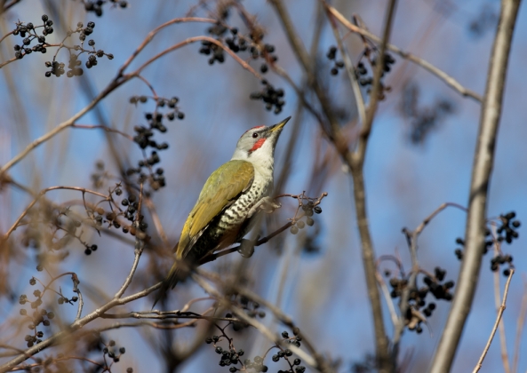 名称未設定-5621