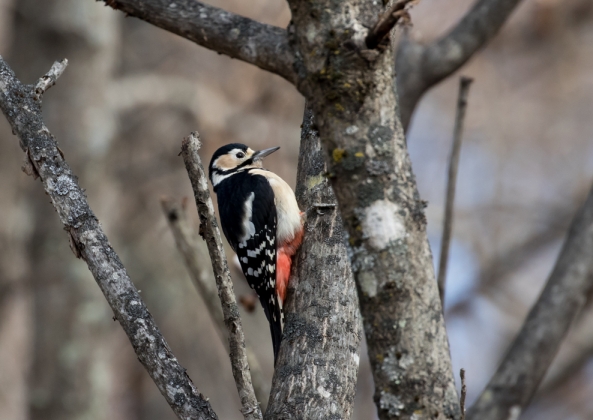 名称未設定-5545