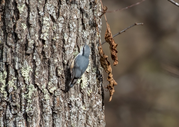名称未設定-5564