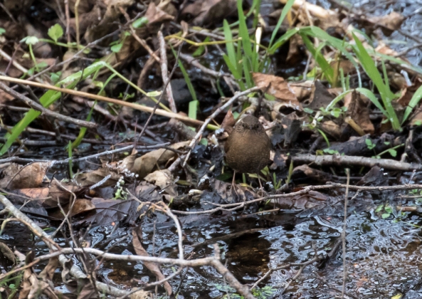 名称未設定-5376