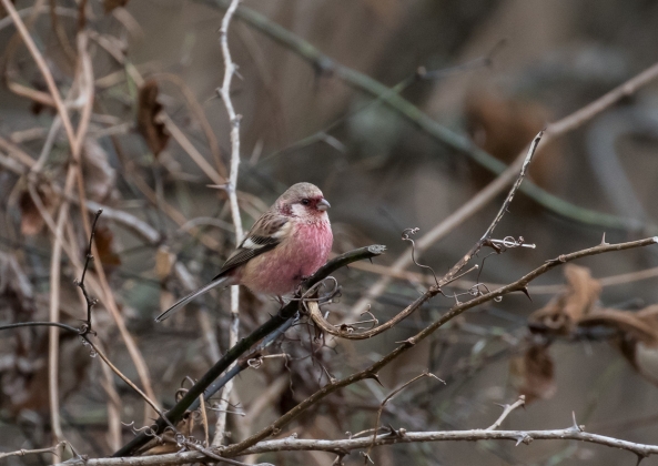 名称未設定-5719