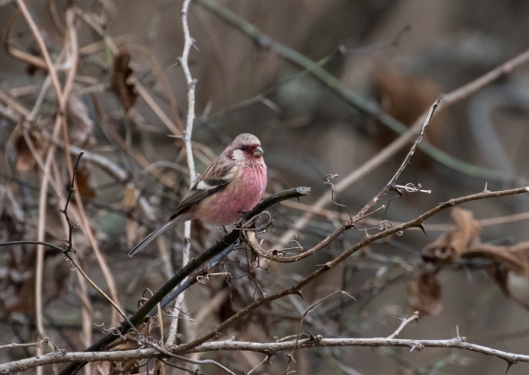 名称未設定-5728