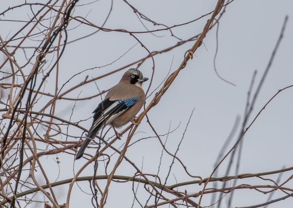 名称未設定-5697