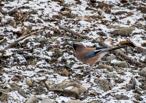 名称未設定-5816