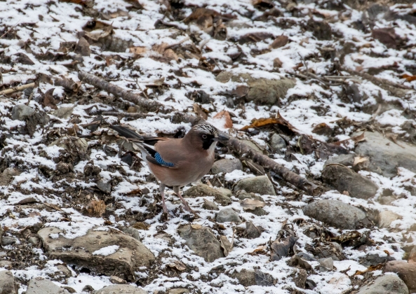 名称未設定-5823