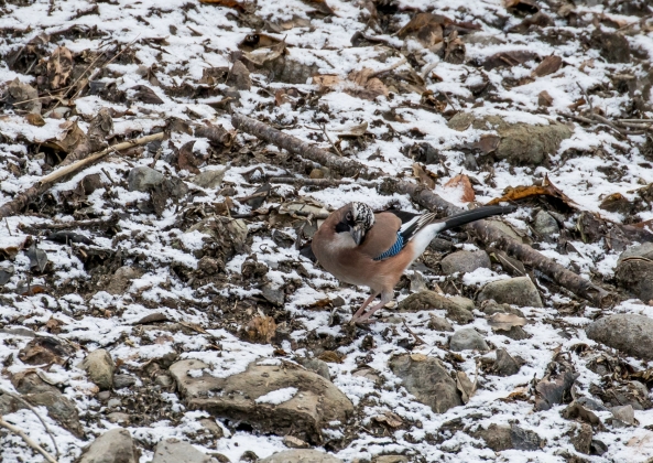 名称未設定-5819