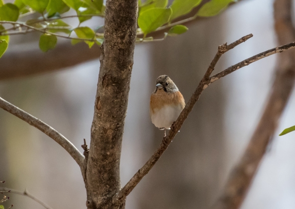 名称未設定-6974