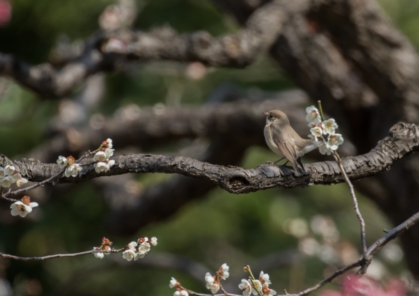 名称未設定-9882-2