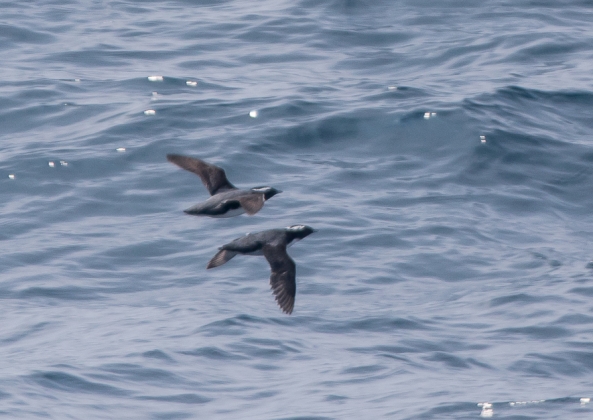 名称未設定-1896