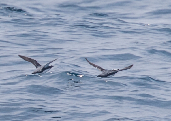 名称未設定-1901