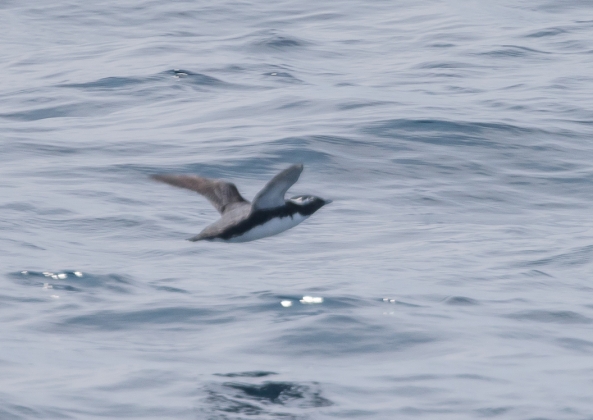 名称未設定-1951