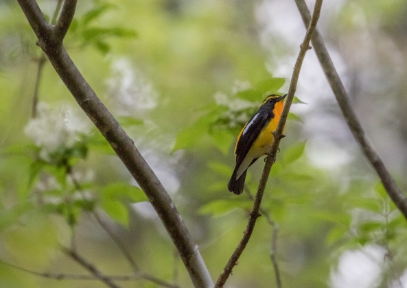 名称未設定-2271