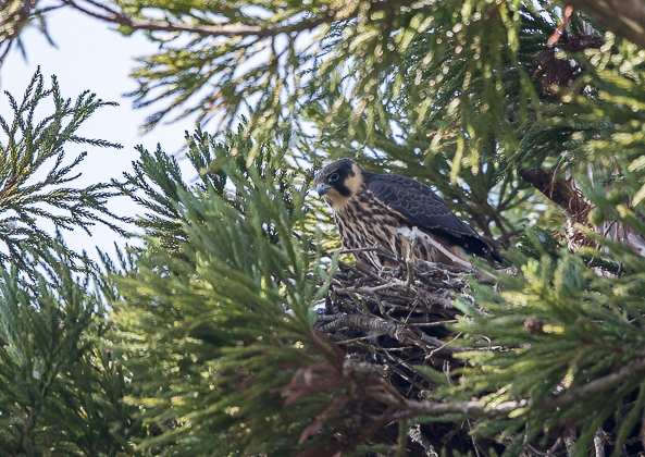 名称未設定-19-2