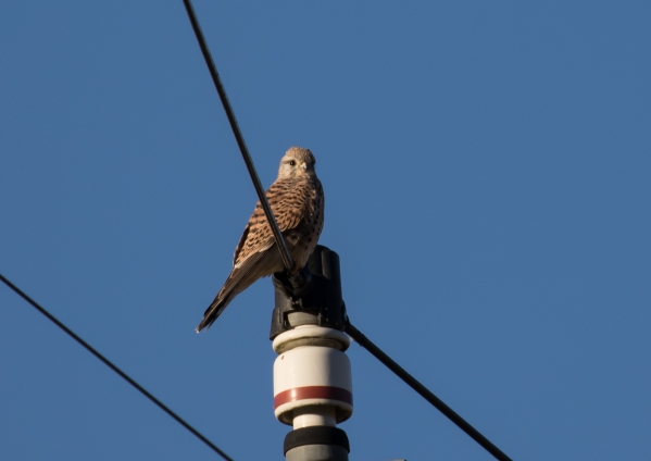 名称未設定 (6 - 24)