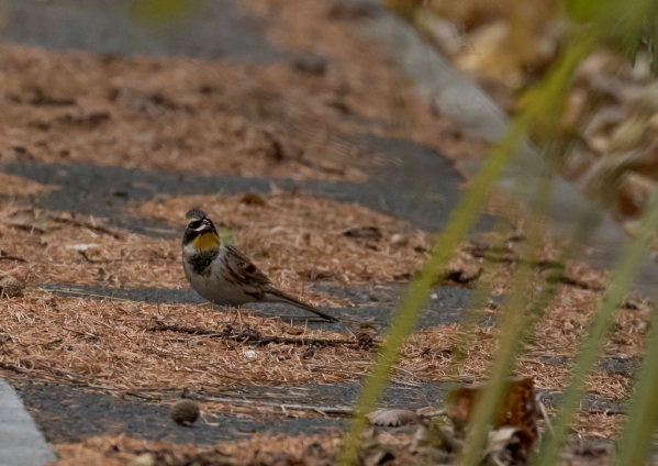 名称未設定 (8 - 74)