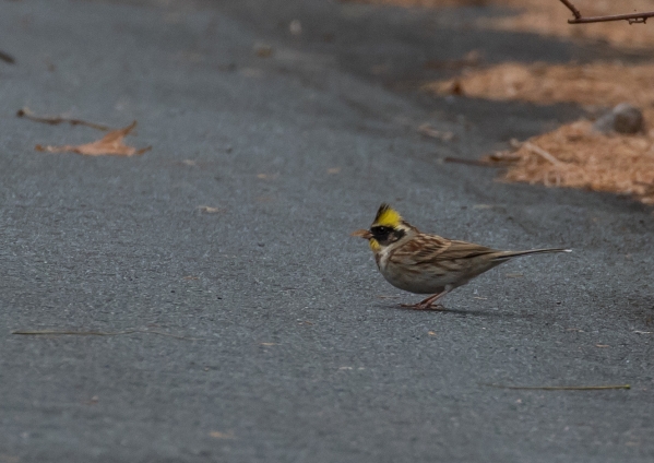 名称未設定 (13 - 74)