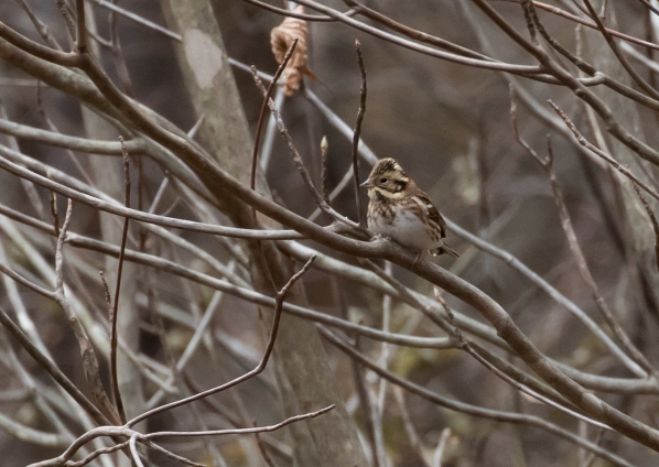 名称未設定 (1 - 74)