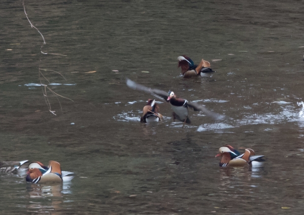 名称未設定 (54 - 74)