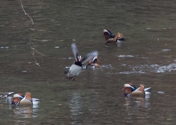 名称未設定 (56 - 74)
